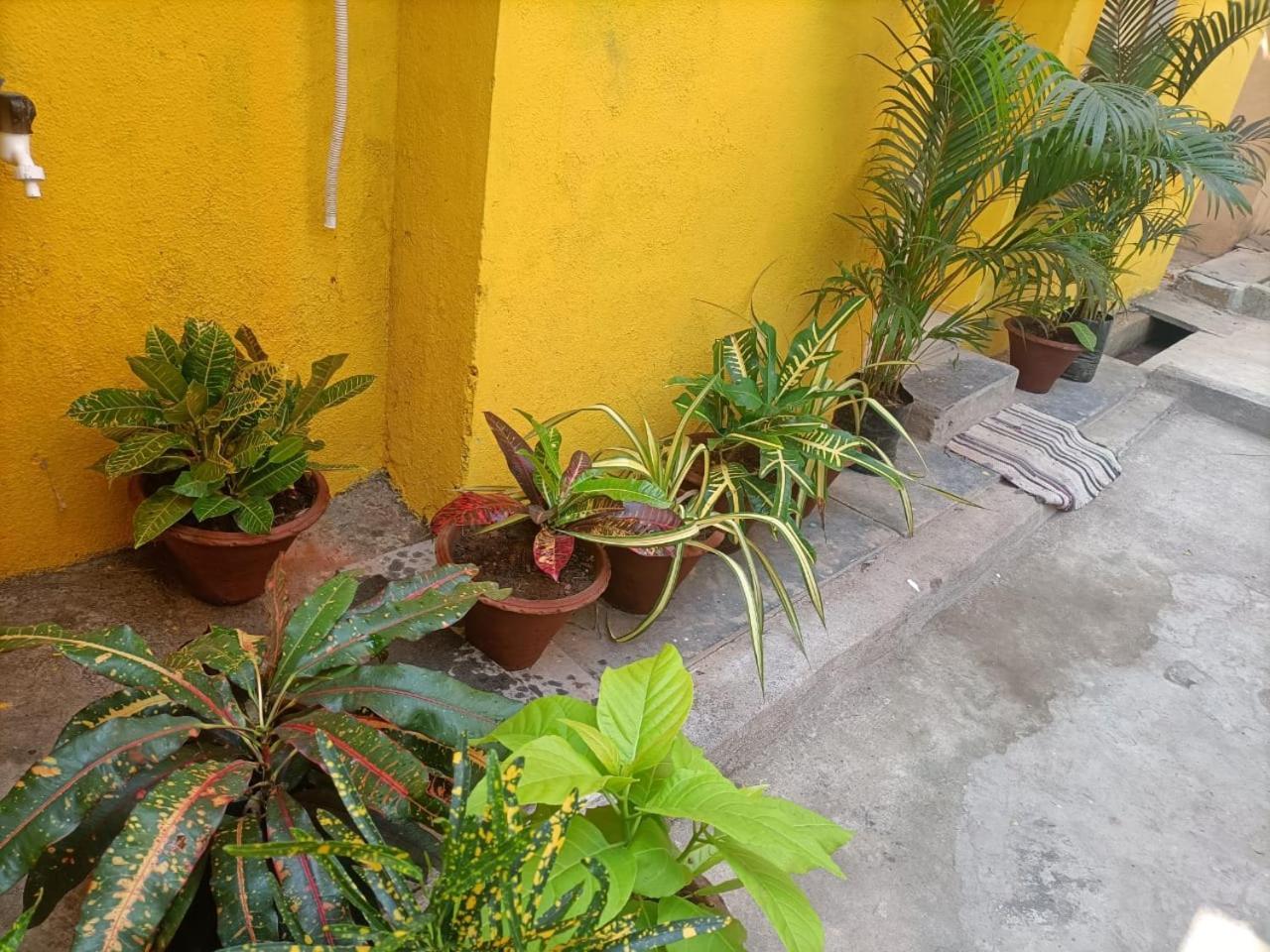 Nks Homestay Ποντισερί Εξωτερικό φωτογραφία